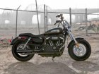 2011 Harley-Davidson Harley Davidson XL 1200C Sportster Custom